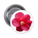 Tree Peony Pinback Buttons