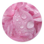 Tree Petals Pink Stickers