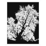 tree photo art