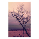 tree photograph