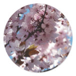 tree,pink blossoms on tree stickers