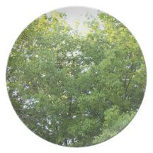 Tree plate