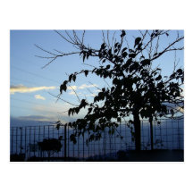 Tree postcard