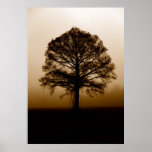 Tree Poster