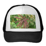Tree Red Flowers Hat