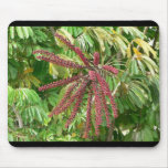 Tree Red Flowers Mouse Pads