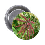 Tree Red Flowers Pinback Buttons