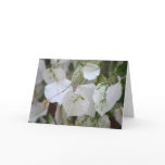 Tree RedBud "SilverCloud" Greeting Card