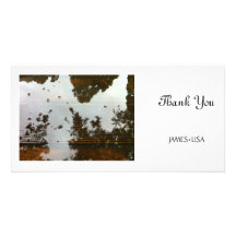 Tree reflection photo cards