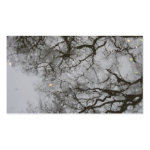 Tree Reflections & Rain in Water Photo Card Business Card Template