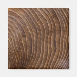 Tree rings Square Magnet