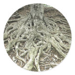 Tree Roots Round Sticker