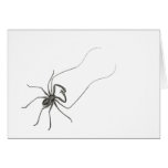 Tree Scorpion Cards