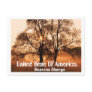 Tree, Seasons Change, United State Of Ameica. Postcards