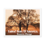 Tree, Seasons Change, United State Of Ameica. postcards