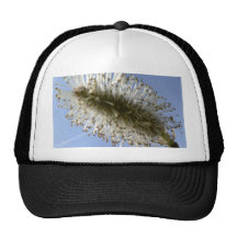 Tree Seed Mesh Hat