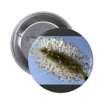Tree Seed Pin