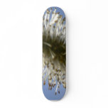 Tree Seed Skate Decks