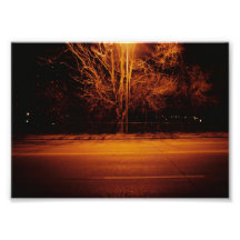Tree Series - #3 Art Photo