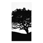 Tree Silhouette Custom Photo Card