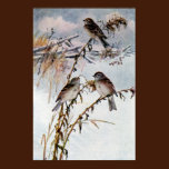 Tree Sparrows in Winter posters