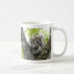 Tree Squirrel Coffee Mug