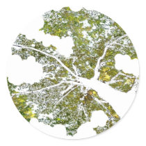 Tree Round Stickers
