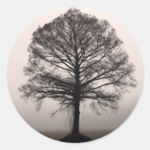 Tree Stickers