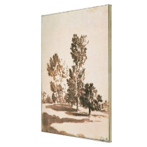 Tree Study (pen & ink on paper) canvas prints