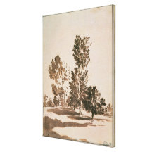 Tree Study (pen & ink on paper) Canvas Prints