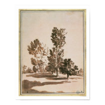 Tree Study (pen & ink on paper) posters