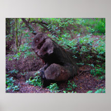 Tree Stump Poster