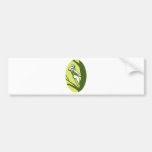 tree surgeon or arborist chainsaw cutting tree bumper stickers