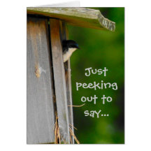 Tree Swallow Card