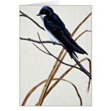 Tree swallow cards