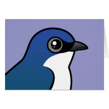 Tree Swallow Cards