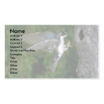 Tree Swallow coming in for a landing Business Cards