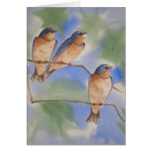 Tree Swallow Fledglings Card