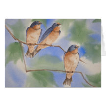 Tree Swallow Fledglings Note Card