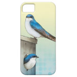 Tree Swallow iPhone Case iPhone 5 Covers