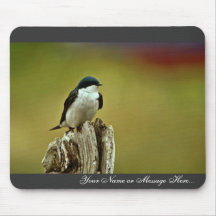 Tree Swallow Mousepads