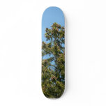 Tree Top Skateboard