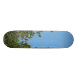 Tree Tops Custom Skateboard