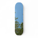 Tree Tops skateboards