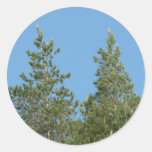 Tree Tops Sticker