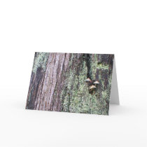Tree Trunk 2 Greeting Cards