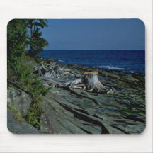 Tree Trunk At A Rocky Beach Mouse Pads