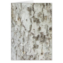 Tree Trunk Greeting Card