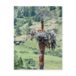 Tree Trunk Sculpture  -- Postcard