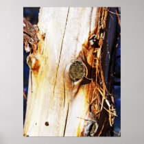 Tree Trunk with Knots Poster